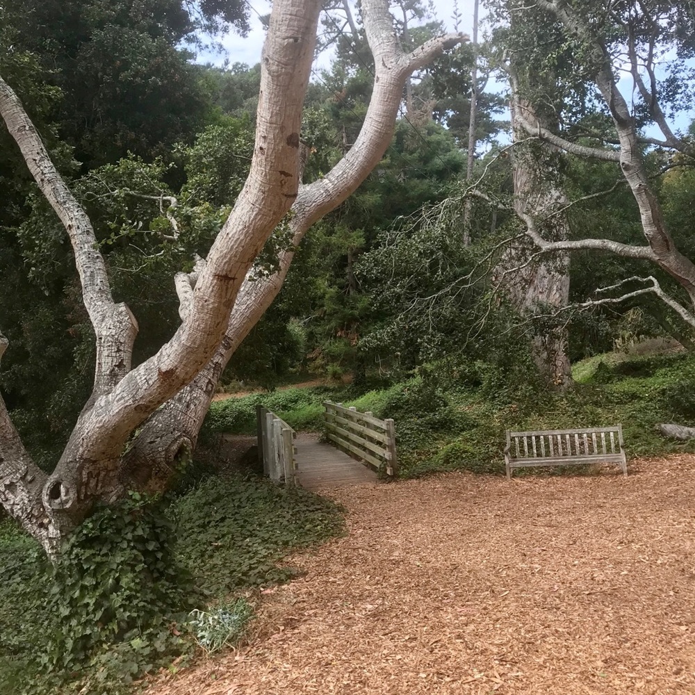 Meet your Posher, Adriana